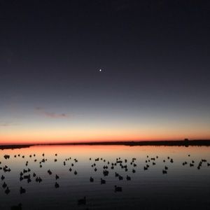 Meet your Posher, George